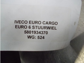 Timon për Kamioni Iveco EURO CARGO 5801934370 STUURWIEL EURO 6: foto 3