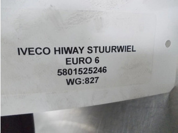 Timon për Kamioni Iveco HIWAY 5801525246 STUURWIEL EURO 6: foto 3