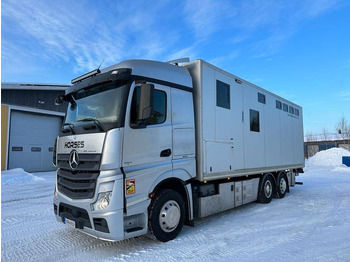 Kamion bagëtish MERCEDES-BENZ Actros