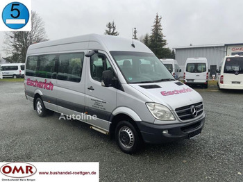 Minibus MERCEDES-BENZ Sprinter 516