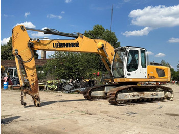 Ekskavator me zinxhirë LIEBHERR R 924